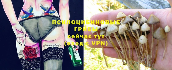 круглые Кодинск